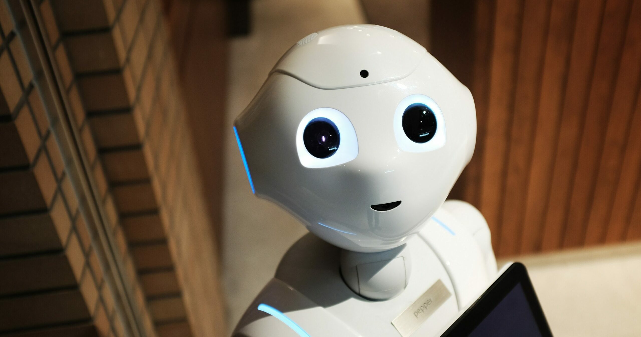 white robot looking at the camera